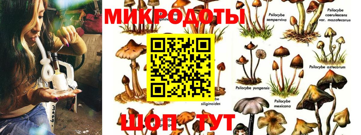 Псилоцибиновые грибы прущие грибы Кубинка