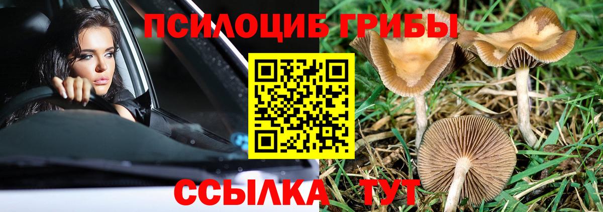 Псилоцибиновые грибы Magic Shrooms  Вход с VPN  Кубинка 